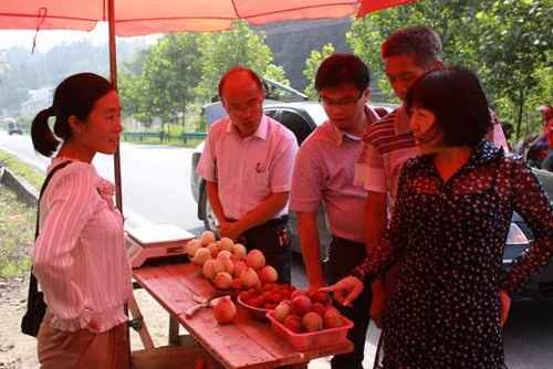 ϸһϼˮŵѯ÷ˮҼ۸