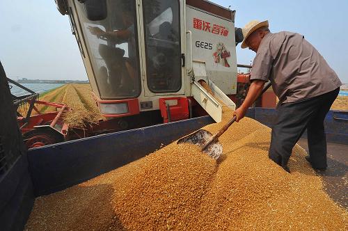 6��13�գ�ɽ��ʡ�����ж��������Ӵ�ũ����װж�ջ��С��