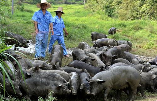 614գ˶̬ũҵƼ޹˾Աлɽ