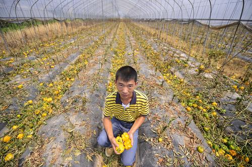 ˹زͷһλũ߲˴Ĳʽһأ614㣩