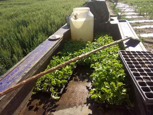 ɹԭƹ￪չС׼ʾĿԲֹ