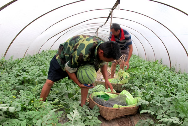 �Ĵ����أ�������������