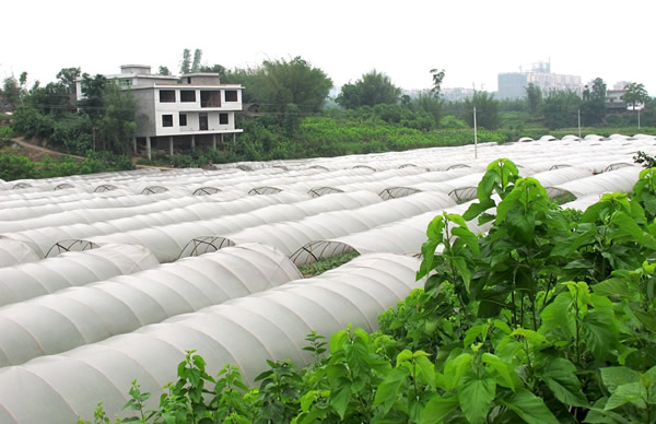 ���Ӵ�����ϻ��ء�