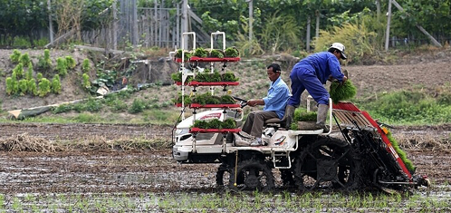 Ϻζֽȳ˳ ܽɻ嵾ֲ