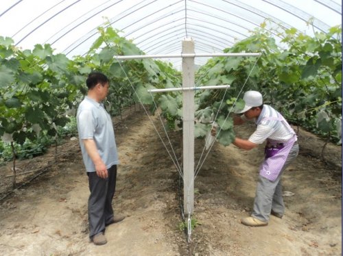 ������ޱ�������԰�����Ѵ��ϡ������¡�