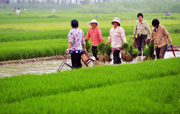 �����Ͻ��أ��ƺ�̲���ֵ�æ