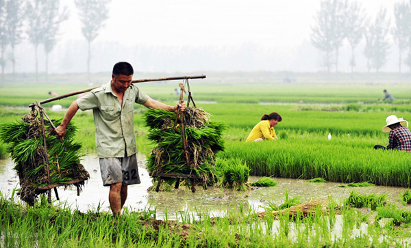 �����Ͻ��أ��ƺ�̲���ֵ�æ2