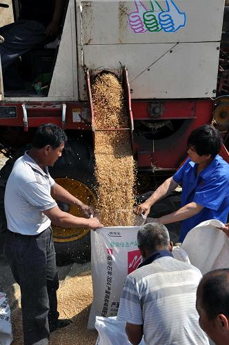 ɽĤСƽĶ539.5ﴴ¼