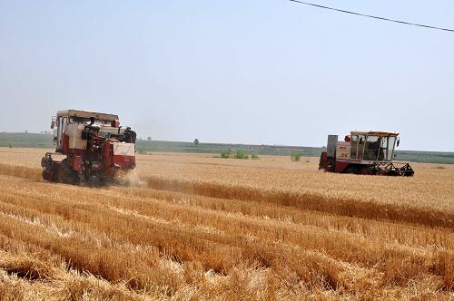 617գں鶴ԫĵĤСʾոС