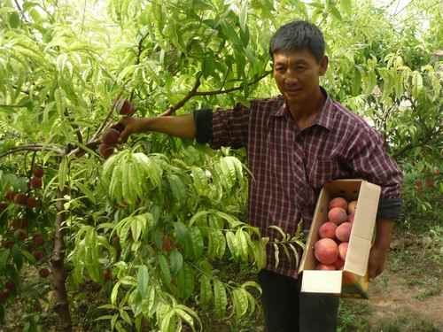 ���ɹ���ԭ����ˮ������Ʈ����