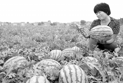 ��������ũ�������ֹ�Ķ��������5000Ԫ