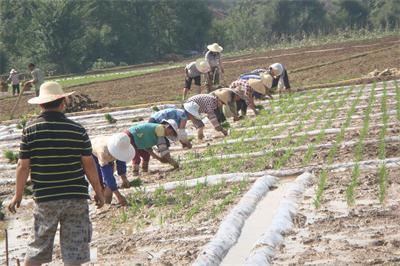 ɽץáķ硱 ˷ ŬˮԹ