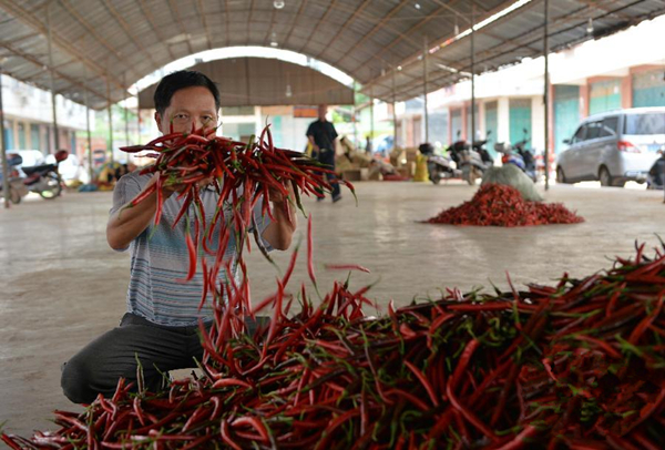 在广西南宁市邕宁区那元农贸市场,村民杨有准告诉记者:“这堆辣椒,好的1斤能卖到6角,差点的只能卖到3角。