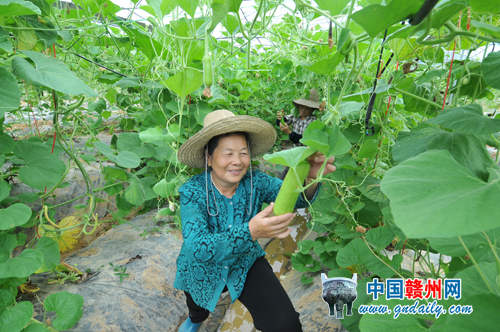 ִũҵ¸ִ֡ũҵɹɨ