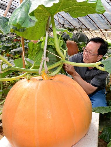 619գӼ̬ũҵ۹԰ĹԱڲ鿴һСϹϵĳơ