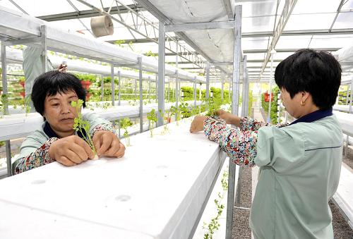 6��19�գ��˼���������԰������ֲ������������ۡ�