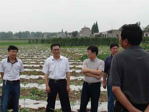 农业部市场与经济信息司司长张合成在注滋口镇东堤村调研
