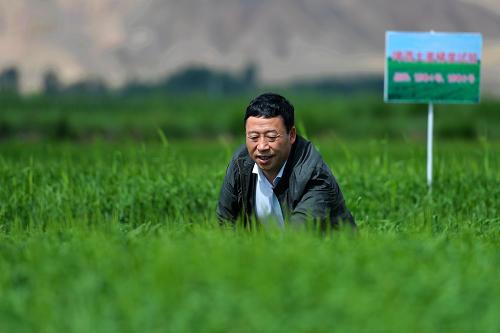 ���ࣺ������������ֲʵ�ֳ����ҵ˫Ӯ