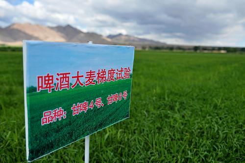 ����6��19������ĸ���ʡ������ơ�ƴ���������ֲ���ء�