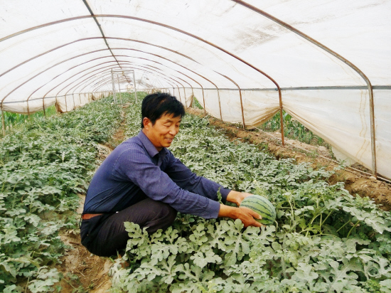 ��������������չʾ�������е�����