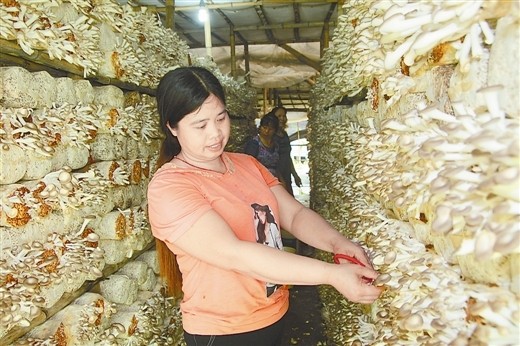 �������ָ�������������ʳ�þ���ҵʾ������