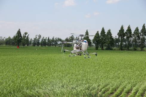 安徽池州贵池召开无人飞机飞防作业现场演示会
