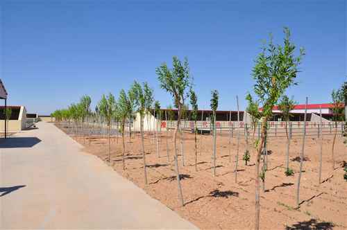 ���ɹŰ����׶�������ҵ��׼����ģ��ֳ��С�������չ˳��