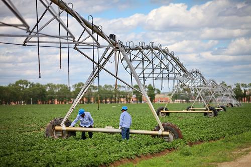 6��21�գ����ҵ����ű��ع��繫˾Ա����Ͻ������������ɳ�������ũ�����ָ��ʽ���������豸��