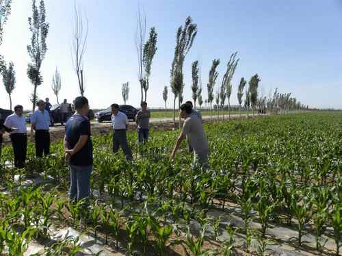 ���ɹŰ���ũҵר��ָ���ں������׸߲������﹤��