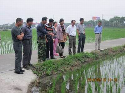 上海金山区亭林镇水稻种植家庭农场主培训搬到田头