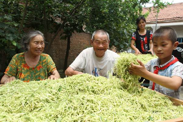 �����Ϫ���幵����ɫ��ֲ���¸�����ҵ