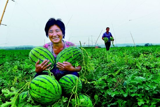 �����ų��޹�����������������