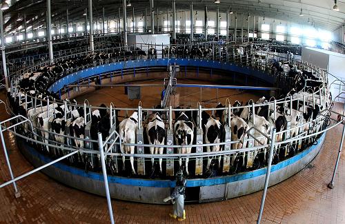 �ӱ��챱����չ��ҵѭ������