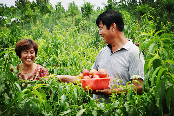 �ӱ����ش�����ɫ�޹�����ɫˮ����ҵ ӳ�����Ц��