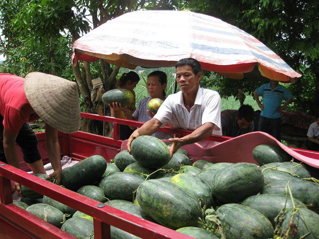 ����ƾ������ʯ����ʯ���������������ϻ����