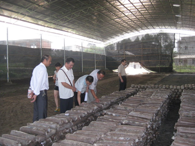 ����������ũҵ�ּ�����Ա��ʳ�þ���ֲ������ָ������