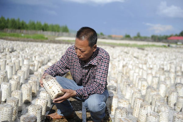 ���ɹŴ��˰��룺ʳ�þ�������ҵת��