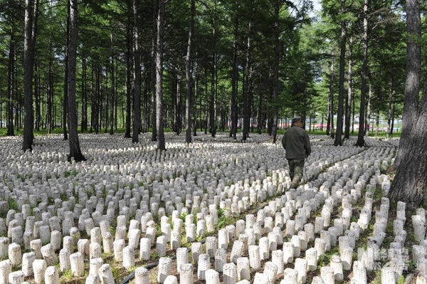 ��ҵ�������������ں�ľ���ֵ��