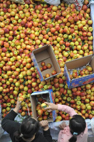 ɽ˳򰲴һϣũΪװҡ