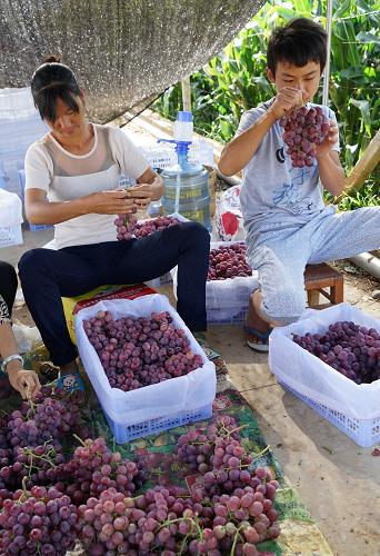 624գϴݳũ񽫳ĺװ䡣