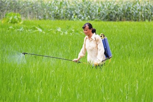 �����޳ǣ���ǿ������ ��ȡũҵ����