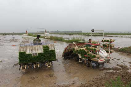 ���ջ��ϣ�ũ��æ���� ���������