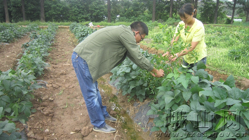 ϪжɽСֵֽµС濪ʼҹ