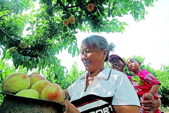 ��������Ͽ��ˮ����԰������