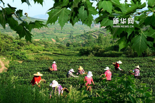 ɽ����ɽ�����ϲ豱������ũ����