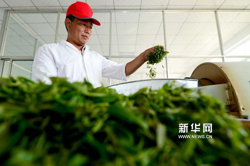 6��25�գ�����ʦ����ɽ�м����賧���ʲ����ɱ�ദ����