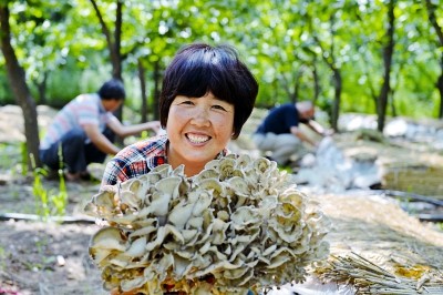 �ӱ�Ǩ������Ģ����