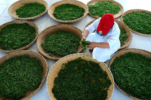 6��25�գ�����ʦ����ɽ�м����賧̯���ʲ衣