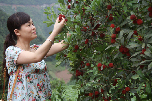 ������ɽ��ʯ���������÷���� ����ӭ��