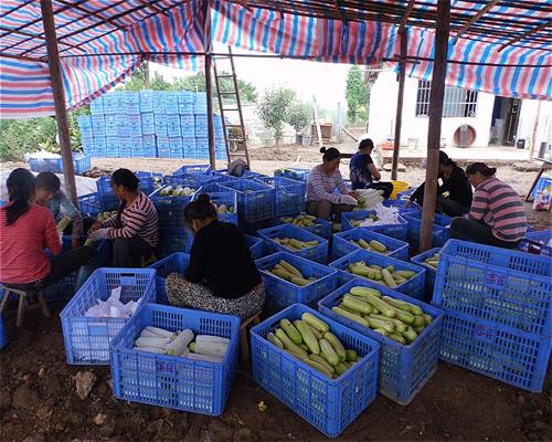 ϴ߲ͨרҵ硰Ե桱Чϲ